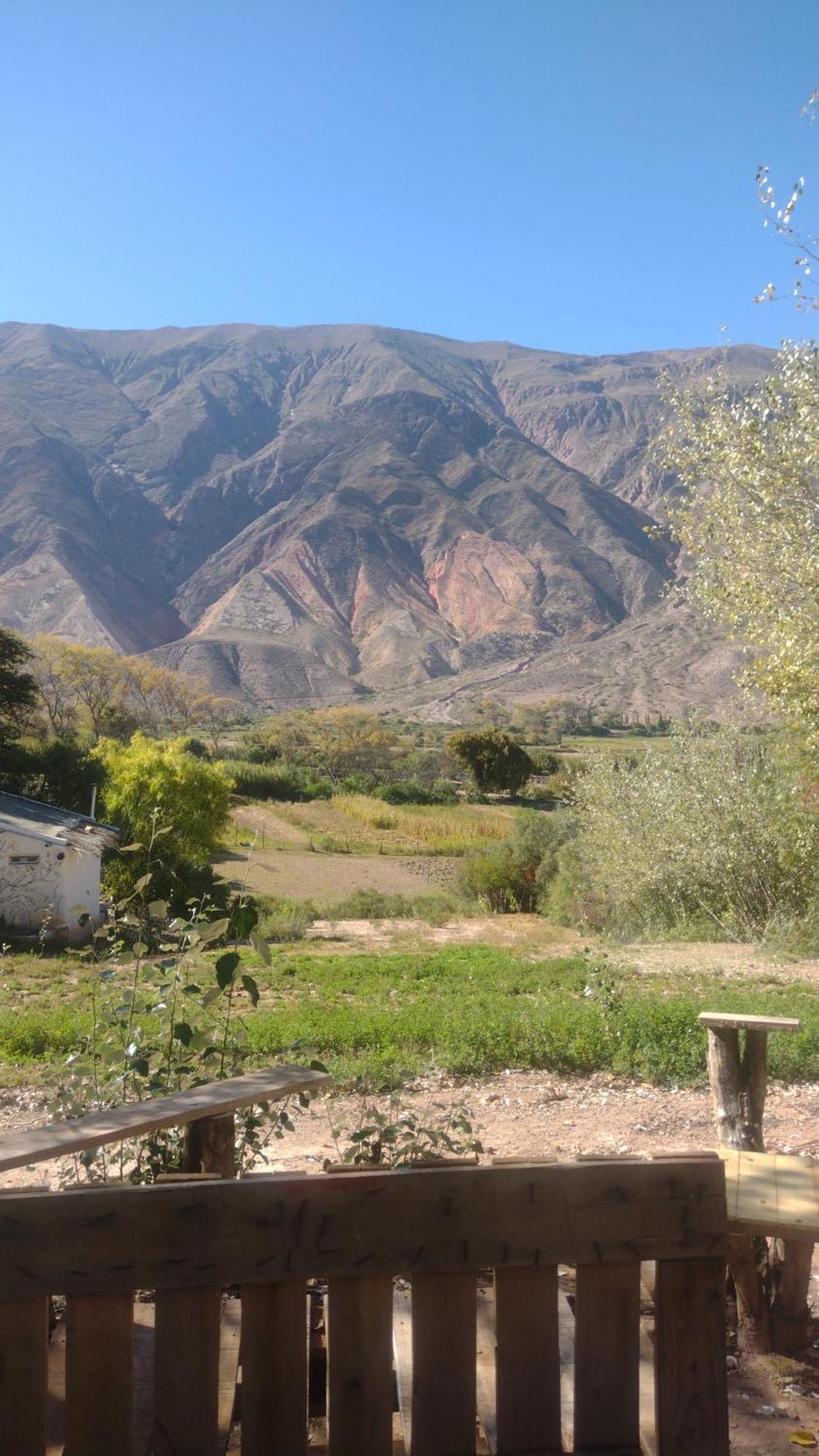 Dormir Con Llamas Maimará Exterior foto